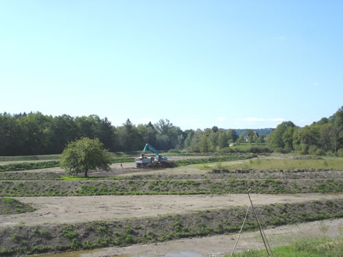 Abtransport des Humus