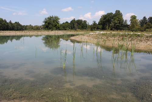 Grosser Weiher
