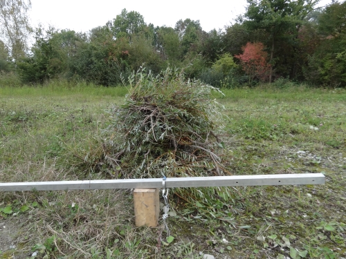 Weidenhaufen Weidenhaufen