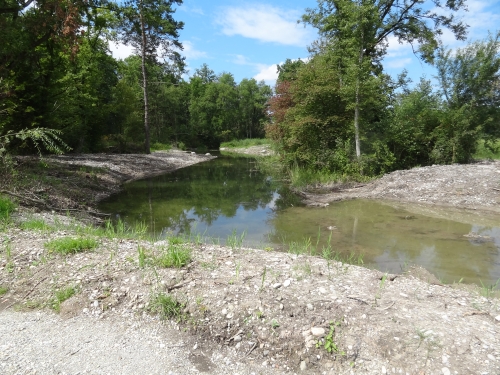 Zusammenfluss Schwarzbach Giesse Zusammenfluss Schwarzbach Giesse