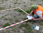 Monitoring